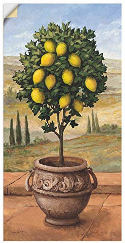 ARTland Wanddeko Wandtattoo selbstklebende Vinylfolie 30x60 cm Toskana Botanik Baum Obst Zitrone Mediterran Malerei T4MN