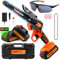 Mini motosega con batteria da 5000 mAh, 6 pollici, mini motosega elettrica con olio automatico e 2 batterie da 5000 mAh, batteria per cesoie da giardino, potatura potatura, taglio legno, CH600+