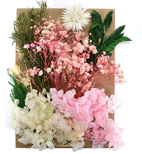 通用 Natürliche Getrocknete Blumen, Trockenblumen Set, Echte Getrocknete Gepresste Blumen und Blätter, DIY Natürliche Getrocknet Blumen Set für Kunst Basteln Dekoration (Gelb und Rosa)