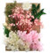 通用 Natürliche Getrocknete Blumen, Trockenblumen Set, Echte Getrocknete Gepresste Blumen und Blätter, DIY Natürliche Getrocknet Blumen Set für Kunst Basteln Dekoration (Gelb und Rosa)