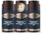 King C. Gillette CREMA IDRATANTE VISO E BARBA, con Vitamina B, 3 confezioni da 100 ml, Ammorbidisce La Pelle E La Barba Incolta, PER CURA DELLA BARBA, IDEA REGALO