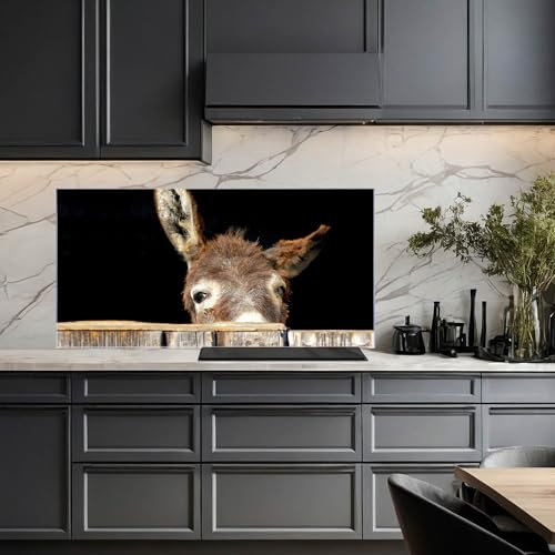 banjado Küchenrückwand Glas ohne Bohren 100x50cm – Glasrückwand Küche mit Motiv Esel/Spritzschutz Küchenrückwand Glas/selbstklebende Küchenrückwand Platte - magnetisch & beschreibbar
