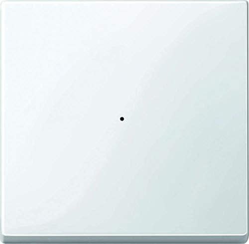 Merten 619119 Wippe für Tastermodul 1fach, polarweiß glänzend, System M