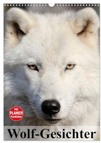Wolf-Gesichter (Wandkalender 2026 DIN A3 hoch), CALVENDO Monatskalender: Wölfe sind zum heulen schön! (CALVENDO Tiere)