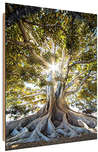 Feeby Image Panneau Déco Arbre 60x90 cm 1 partie Tableaux Tableau Mural Photo Moderne Décoration Murale Artistique Photographie Design Cuisine Salon Chambre à coucher Feuillage Nature Paysage vert