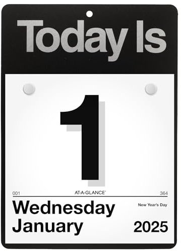 AT-A-GLANCE K10025 Tageskalender 2025 Today Is, 15,2 x 15,2 cm, klein