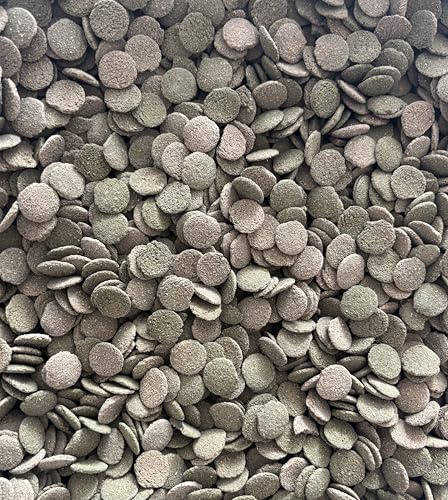 Algen Wafers/Welschips 12 mm – 6 % Spirulina – Sinkende Tabletten für Algenfresser, Welse & Bodenfische im Aquarium (250Gr)
