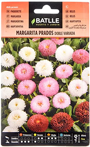 Margarita PRADOS doble variada