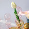 YQYAZL Hydrokultur-Blumenvase, drei Kugeln, nordische Glasvasen mit Blasenkugel-Design, niedliche Blumenvase, geeignet für Hochzeiten, Partys, als Dekoration für Zuhause, Wohnzimmer, Rose