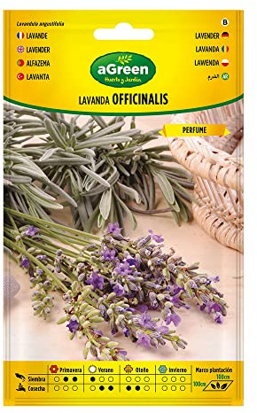 SOBRE SEMILLAS LAVANDA OFFICINALIS 301031BOLSH AGREEN