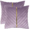 Tosleo 2 Stück Samt Kissenbezüge Dekorative 50x50cm Kissenhülle mit Gold Leder Luxus Moderne für Wohnzimmer Schlafzimmer Sofa Kissen Bett