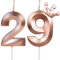 Geburtstagskerzen Zahlen29 mit Krone, 5cm 3D Roségold Geburtstagskerzen,Geburtstag Kerzen,Kerzen Geburtstag,Tortenaufsätze Kuchen Topper Dekoration Hochzeit Geburtstag Jubiläum Feier Lieferungen(29)