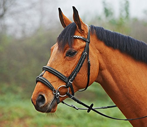 BUSSE solibel Reithalfter ENGLISCH-KOMBINIERT HO, Warmblut, schwarz