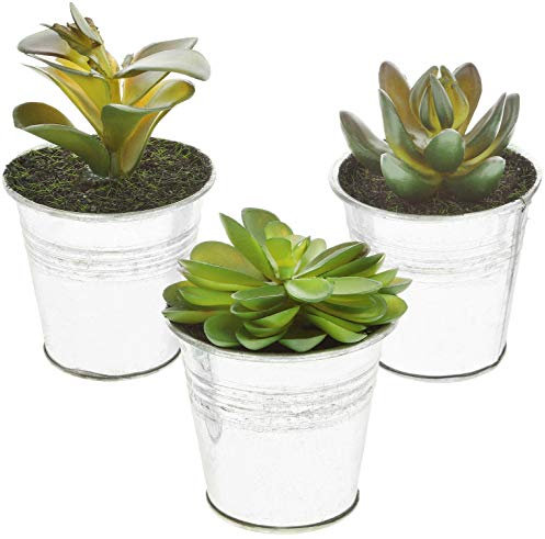 com-four® 3X Plantas Artificiales [la selección varía], Plantas Decorativas engañosamente Reales con macetas de Metal, Plantas Artificiales para la casa, el jardín (03 Piezas - Talla S - Metal)