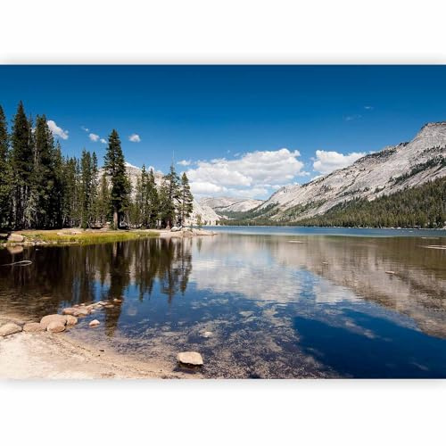murando Photo Wallpaper Landscape 350x256 cm Non-Woven Premium Art Print | Fleece Wall Mural Decoration Poster Picture Design Modern Lake Forest Mountains Nature
