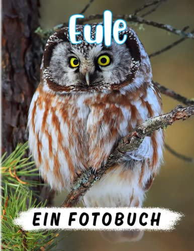 Eule Fotobuch: Sammlung von vielen schönen Eulenbildern zum Dekorieren und Entspannen | Geschenke für Fans jeden Alters an besonderen Tagen