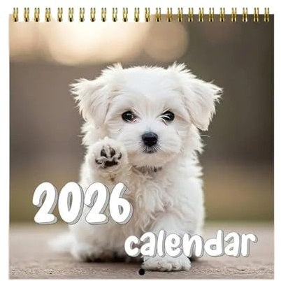 Hundekalender 2026-2027 Monatlicher Tischkalender