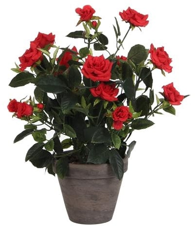 MICA Decorations Plante décorative Rosal Céramique PVC