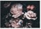 WallArena - Vlies Fototapete Blumen Vintage Blumenstrauß Pfingstrosen schwarz Rosen 368x254 cm - Fototapeten - Tapeten - für Wohnzimmer Schlafzimmer - Vliestapete Wandtapete Tapete - inkl. Kleister