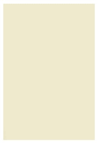 Netuno 200x Feinpapier Creme DIN A4 21x29,7 cm glatt bedruckbar | 170g Arena Ivory Smooth · mattes feines cremefarbenes Naturpapier, vielseitig für Einladungen, Menükarten & Scrapbooking