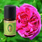 Primavera Bio Duftöle für Aromatherapie zu je 5ml, Duft:Rose persisch Bio 10%