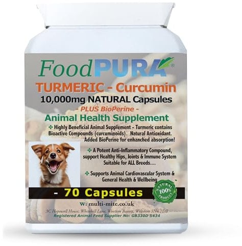 FoodPURA 70 Capsules - Turmeric for Dogs and Cats 10,000 mg for Joints, Digestive Health - High Absorbtion Health Supplement with Piperine Anti Inflammatory for Hips and Joints