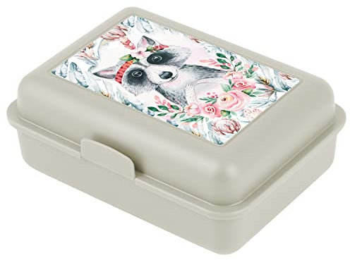 Baagl Brotdose Kinder für Schule – Lunchbox für Mädchen, Jungen, Kindergarten – Jausenbox, Brotzeitbox, Brotbox, Snackbox (Waschbär)