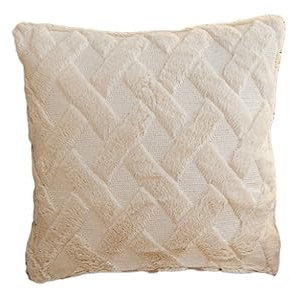 LEVINE Kissenbezug – 2 Stück Herbst Winter Besticktes Plüsch-Erkerfenster-Kissen, Rückenlehnenbezug, Auto, Büro, Yoga-Kissenbezug, Himmelblau (Color : Beige)