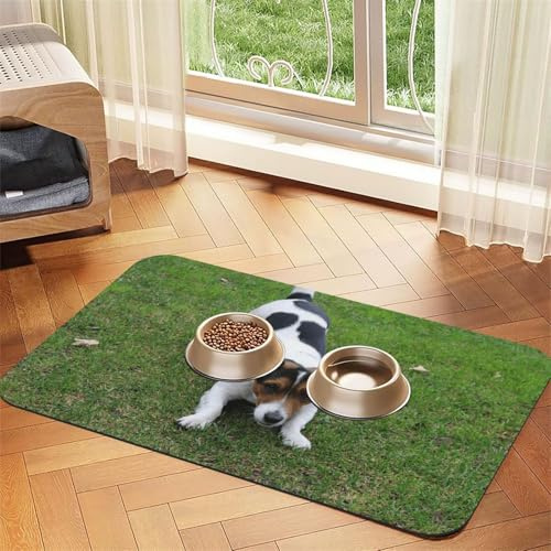Jack Russell Dog Printed Pet Bowl Mats, Non-Slip And Tasteless Dog And Cat Feeding Mats