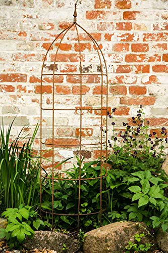 KUHEIGA Rankgitter, Rankhilfe, Rankgerüst, Rost, Höhe: 150 cm, Volleisen