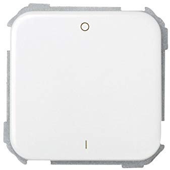 Simon - 31133-30 interruptor bipolar 16a s-31 blanco nieve Ref. 6553130006