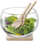 LSA International Serve Salad Set & Oak Base Ø27cm Clear