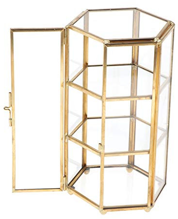 Fenteer Mini Glas Terrarium Box Blumentopf Sukkulente Pflanzen Pflanzgefäß Dekoration, Kupfer, 11x10x19cm