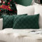MIULEE Weihnachten 2er Set Samt Kissenbezug Gitter Sofakissen Dekokissen Kissenhülle Kissenbezüge Couchkissen Kissen Samtkissen Weich Einfarbig Zierkissen für Sofa Wohnzimmer 30x50 cm Dunkelgrün