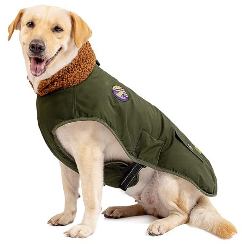 IREENUO Hundemantel, wasserdicht, Hundebekleidung mit Verstellbarer Schnalle für mittelgroße und große Hunde, Wintermantel für Hunde (Grün, M)
