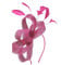 Hotstylezone Womens Feather Looped Headband Fascinator Ladies Day Wedding Royal Ascot (fuchsia)