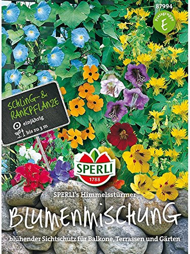 Schlingpflanzen Mischung, Himmelsstürmer