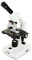 Celestron 44230 CL-CM2000CF Compound Microscope, 40x-2000x Magnification, White
