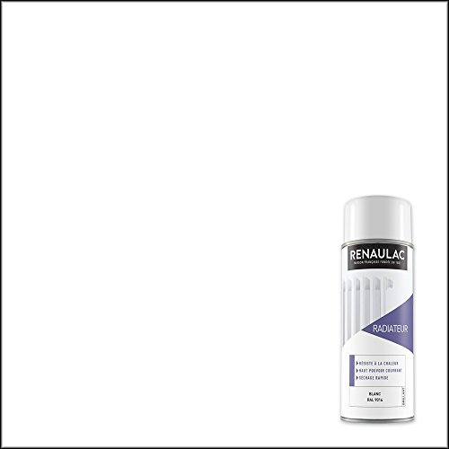Renaulac Peinture Aérosol Déco spéciale électroménager - Blanc (Blanc Brillant) - 400 ml (Ref: C-REAERRAD-0000-0L4)