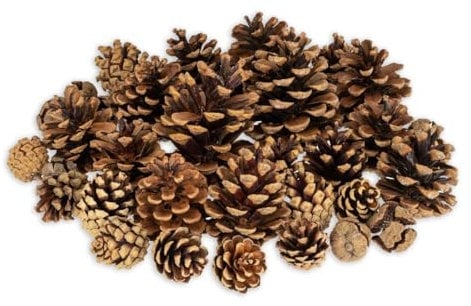 NaDeco Tannenzapfen-Mix verpackt mit 400g | Zapfenmischung | Kiefernzapfen | Tannen-Zapfen | Naturzapfen | Zapfenmix | Dekozapfen | Adventsdekoration | Weihnachtsdekoration