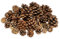 NaDeco Tannenzapfen-Mix verpackt mit 400g | Zapfenmischung | Kiefernzapfen | Tannen-Zapfen | Naturzapfen | Zapfenmix | Dekozapfen | Adventsdekoration | Weihnachtsdekoration