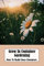 Grow In Container Gardening: How To Build Your Container