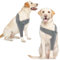 Katzinst Recovery Sleeve Hund, Kniebandage Hund Hinterbein, Ellenbogenbandage Hund, Elastizität Ellbogenschoner vorne rechts Links Bein für Wunden, Bandagen, Anti Lecken für Hunde, Grau 2XL