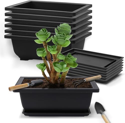 dellyy 6 stycken bonsai träningskrukor, bonsai kruka fyrkantig plast med underlägg och små trädgårdsredskap, bonsaiskål för suckulenter, trädgårdar, kontor, vardagsrum och balkonger (16 x 12 x 6 cm)