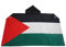 AZ FLAG - Umhangflagge Palästina - 150x90 cm - Palästinensische Cape Fahne 100% Polyester mit integrierten Ärmeln und Kapuze - Body Flag 80g