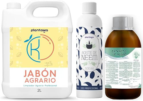 Pack d'économie de savon de potassium 2 L + huile de Neem 500 ml + algues marines 250 ml 100 % naturel protection verger, durable, booster de croissance, mouche blanche, araignée rouge, puceron,