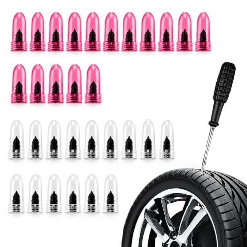 Topolenashop 30 Pezzi Chiodi in Gomma per Riparazione Pneumatici – Kit Riparazione Gomme con 15 Misura M, 15 Misura L e Cacciavite – Chiodi Filettati per Auto, Moto, Camion, Bici | 17379