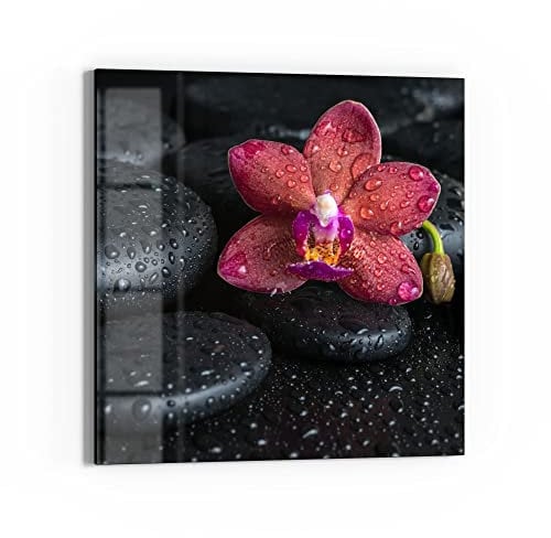 DEQORI Tableau magnétique en verre - 50 x 50 cm - Motif « fleur et pierres mouillées » - Tableau mémo en verre - Tableau magnétique avec aimants, stylo et chiffon pour cuisine et bureau - Tableau