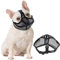 Französische Bulldogge Maulkorb Maulkorb für Hunde mit Abgeflachter Maske für Hunde mit Kurzer Schnauze Hundemaulkorb mit Kurzer Schnauze maulkorb kleine Hunde Anti Beißen Kauen Bellen