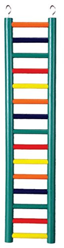 Prevue Pet Products BPV01139 Carpenter Creations Hardwood Bird Ladder with 15 Rungs, 24-Inch, Colors Vary